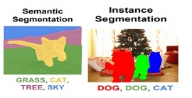 Ilustração sobre Segmentação semantica vs segmentação da instância