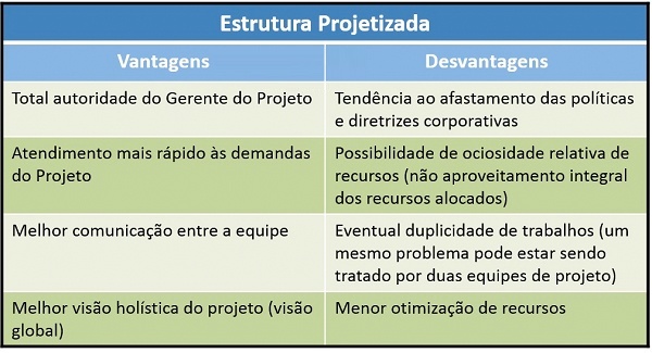 Tabela explicando estrutura projetizada