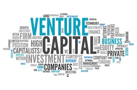 Palavras relacionadas com Venture Capital